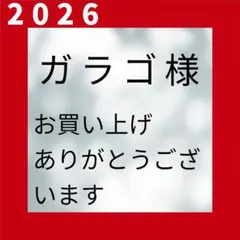 美品✨patagonia✨キャプリーン クール トレイルロンT グレー Mのサムネイル