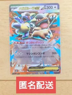 ポケモンカード メガガルーラex 051/063 RR 1枚のサムネイル