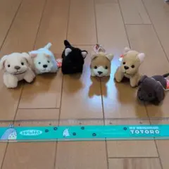 犬のぬいぐるみ 6体セット