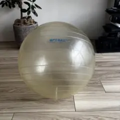 Gymnic Opti Ball 65cm 透明