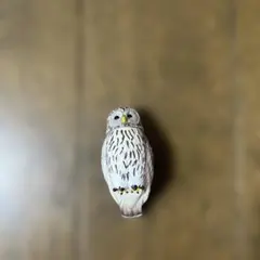 タカラトミー　アニア　フクロウのみのサムネイル