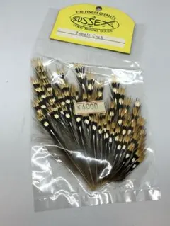 Item thumbnail for item a644cf52-784c-40e1-9176-d48e5f3735f0