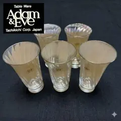 たち吉 Adam＆Eve ビアグラス 5客セット Tachikichi ビール