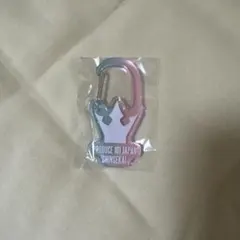 日プ新世界 カラビナ アンドペアー 当選品