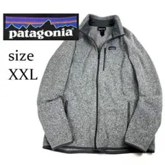 patagonia 19年製 ベターセータージャケット ライトブルー フリース 