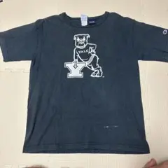 Champion Yale University Tシャツ Lサイズ
