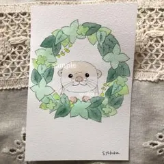 原画　水彩画　カワウソ　植物　ポストカード　手描きイラスト　オリジナルイラスト