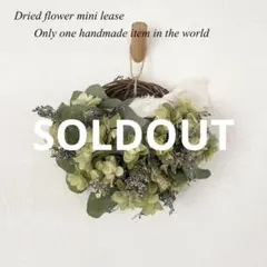 【SALE】カシワバアジサイとポポラスのハーフリース*ラッピング無料 ナチュラル