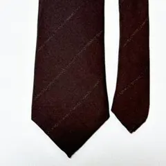 TIEYOURTIE タイユアタイ シルク ネクタイ ダークブラウン 無地 TIEYOURTIE タイユアタイ シルク ネクタイ ダークブラウン 無地 - メルカリ