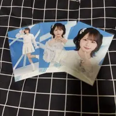 노이미 원시 사진 갈매기 퍼레이드 원시 사진 특별 공연 오기 나미나 컴프