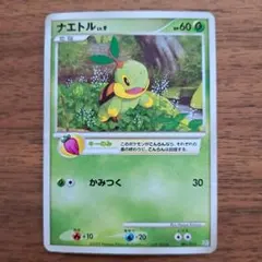 ポケモンカード　ナエトルLV-9のサムネイル