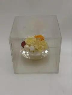 Item thumbnail for item e9144490-7bf6-44f0-aa5a-b1ebbdd13af9