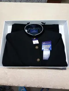 Item thumbnail for item 79a6a59d-758a-41bd-8149-0062a172af84