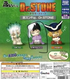 肩ズンFig. Dr.STONE あさぎりゲン