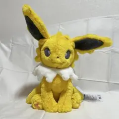 サンダース ふわふわ抱きぬいぐるみ ポケモンセンター 限定 タグ付き
