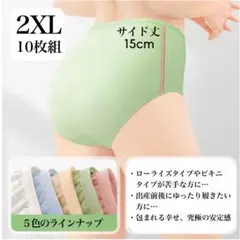 使い捨てショーツ 女性用 10枚組 2XL ハイウエスト 通気性 介護 旅行