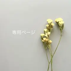 とり☆どり♪様*°♡のサムネイル