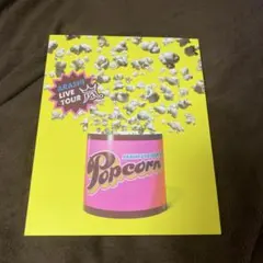 嵐 ライブツアー Popcornパンフレット