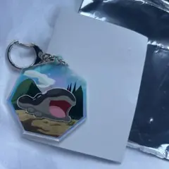 ポケモン ドオー アクリルキーホルダー PRONTO
