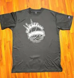 チャンピオンt シャツ　XXL