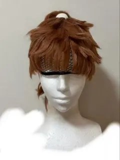 忍たま乱太郎 鉢屋三郎 不破雷蔵 ウィッグ