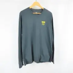 LEVIS ロゴ 英字 フォト 両面プリント フェード カットソー ロンT Mのサムネイル