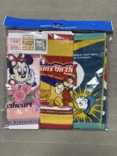 東京ディズニーリゾート タオル