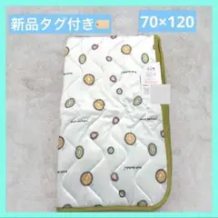 Item thumbnail for item 711655e9-4fe5-4d0f-ba1a-76b05b65ec08