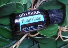 doTERRA ドテラ イランイラン 15mL 新品 未開封 - メルカリ