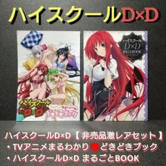希少]ハイスクールD×D TVアニメまるわかり♥どきどきブック【非売品