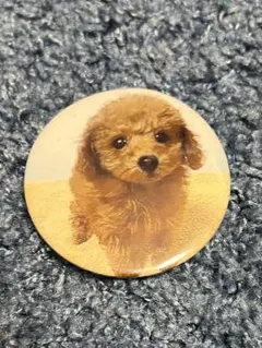 Item thumbnail for item 08f20f37-bbe2-4cac-9b6b-d7376e26f010