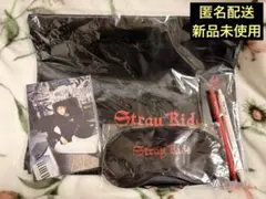 straykids スキズ dominATE ヨーロッパツアー VIP特典