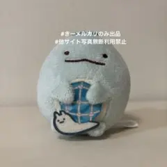 すみっコぐらし　とかげ　おさかな屋さん　てのりぬいぐるみ2018 すみっコぐらし とかげ おさかな屋さん てのりぬいぐるみ 2018 お