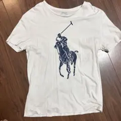 Polo Ralph Lauren ポロ馬術デザイン Tシャツ S