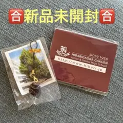 雲雀丘学園中学校・高等学校★キーホルダー＋付箋★各1★合格祈願★中学受験中学入試