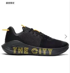 Under Armour Curry バスケットボールシューズ THE CITYのサムネイル
