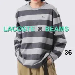 LACOSTE × BEAMS 別注 ストライプ ロングスリーブ Tシャツ 36