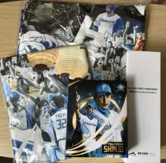 日本ハム ファイターズ アクリル キーホルダー 1／25スケール 野球
