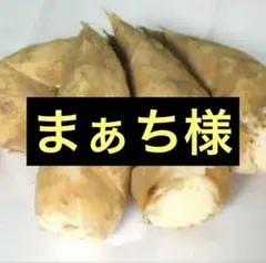 まぁち様　京都山城産　朝掘り筍3kg関東クール便