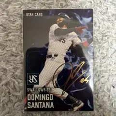 カルビー スワローズ ドミンゴ・サンタナ スターカード 2025年