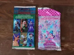 ディズニーパルパルーザ　ミニーファンダーランド　コレクションカード　新品