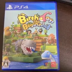 Birthdays the Beginning
