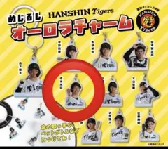 阪神タイガース　近本光司　めじるしオーロラチャーム　ガチャガチャの森