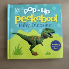 Pop-up Peekaboo! Baby Dinosaur 영어 양서 그림책