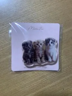 ミルフィー スマホグリップ スコティッシュフォールド