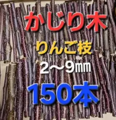 Item thumbnail for item 2efe29f6-05f2-43c4-8322-e729641f04ee