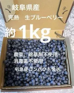 生ブルーベリー　1kg ブルーベリー　完熟　農薬、除草剤、消毒、化学肥料不使用のサムネイル