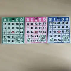 HANAYAMA ビンゴカード 30枚入り 3セット