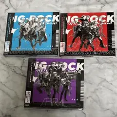 未開封シリアル付き：DIG-ROCK シングルCDセット