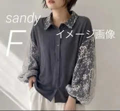 レディース 長袖ブラウス sandy フリーサイズ　グレー 花柄レース袖　美品のサムネイル